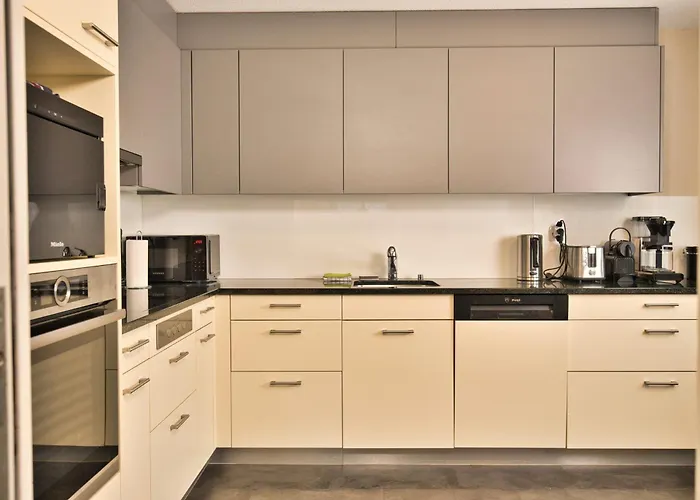 דירה By Brienz With View *